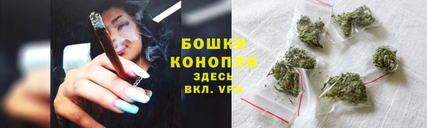 стафф Богданович