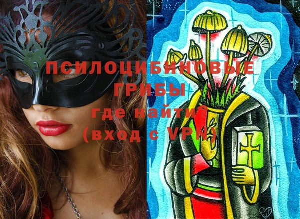стафф Богданович