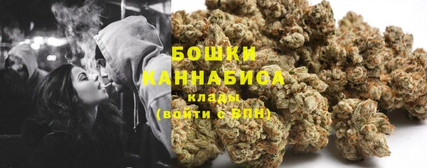 стафф Богданович