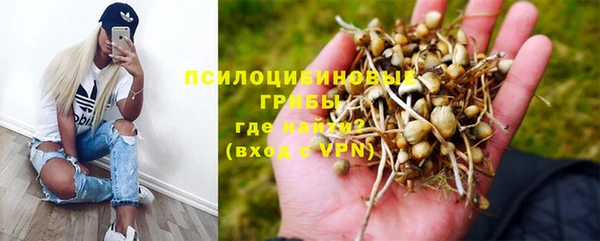 PSILOCYBIN Белоозёрский