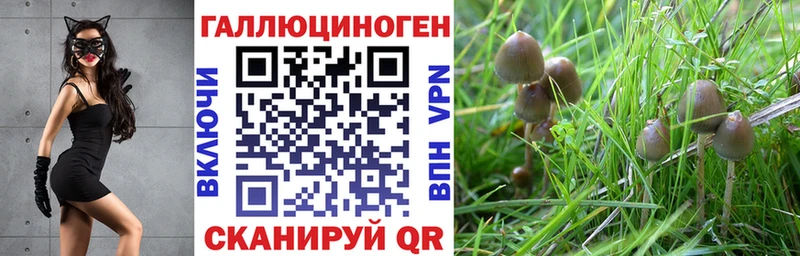 продажа наркотиков  Бирск  ссылка на мегу   Псилоцибиновые грибы Magic Shrooms 
